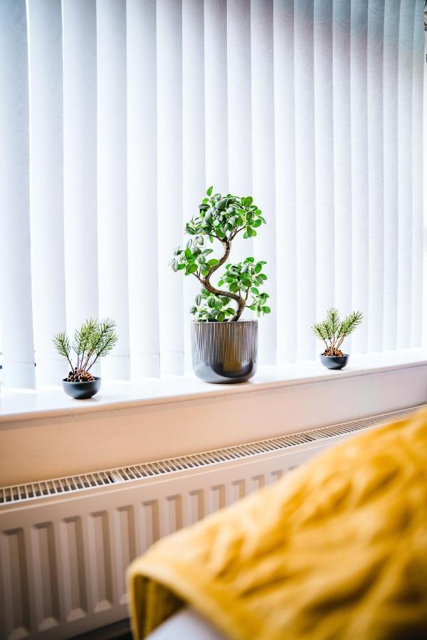 Apartament Aunt Mary'S Belfast Zewnętrze zdjęcie
